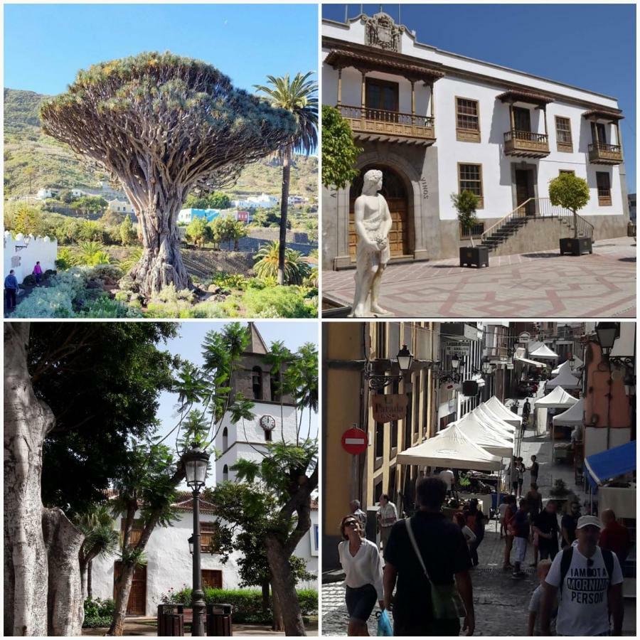 דירות איקוד דה לוס וינוס Plaza San Marcos מראה חיצוני תמונה